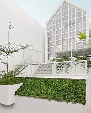 NATURE / GREEN NATURE / GREEN